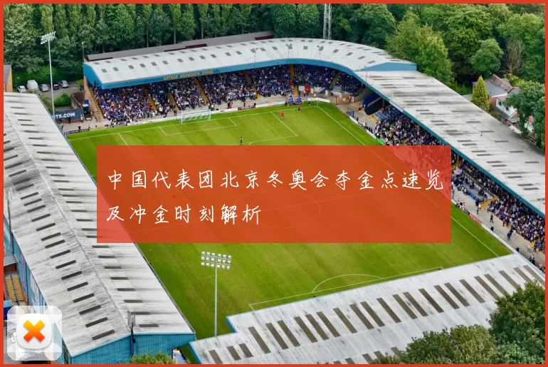 中国代表团北京冬奥会夺金点速览及冲金时刻解析