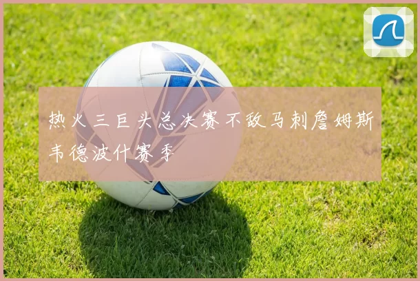 热火三巨头总决赛不敌马刺詹姆斯韦德波什赛季