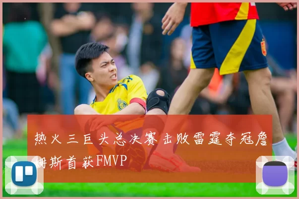 热火三巨头总决赛击败雷霆夺冠詹姆斯首获FMVP