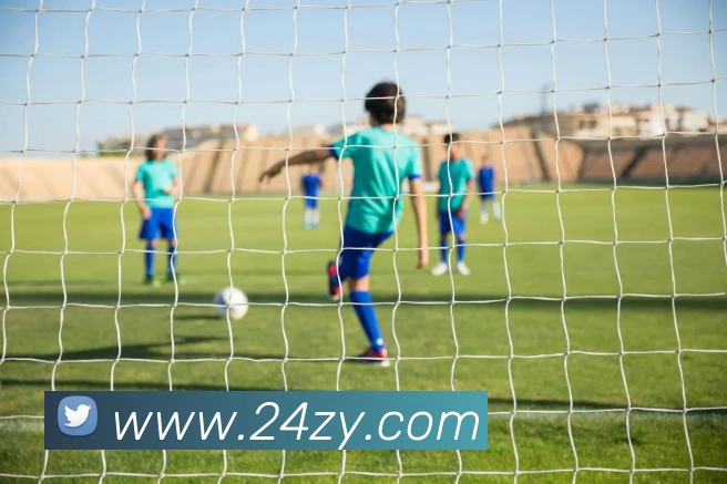 欧宝app官方版web站入口 - 欧宝(中国)平台生态图